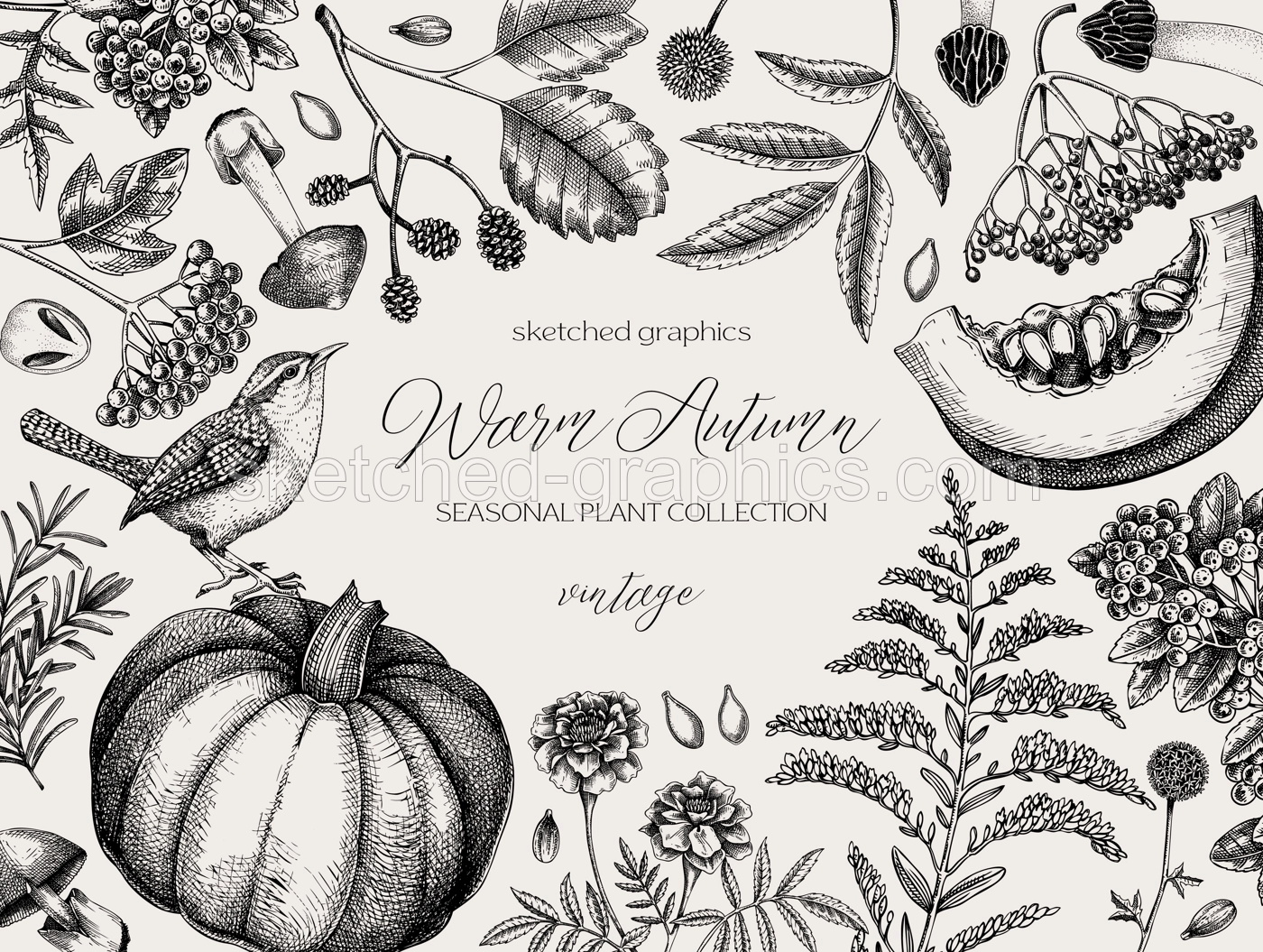 Vintage autumn frame design. Thanksgiving background. Fall leaves, pumpkins, berries, mushrooms sketches. Hand-drawn vector illustration. NOT AI generated Illustration